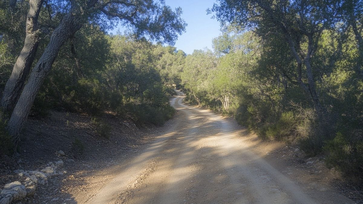 Castellard Mélan