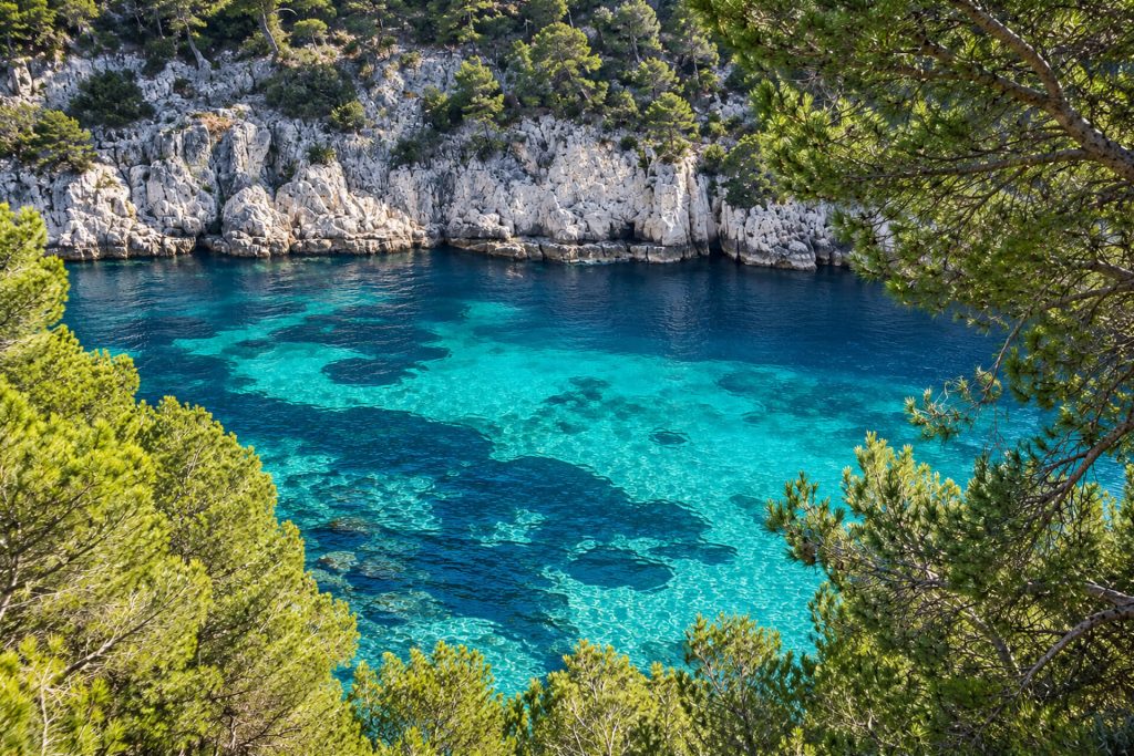 Calanque aux eaux turquoises entourée de pins et de falaises calcaires, vue d’en haut