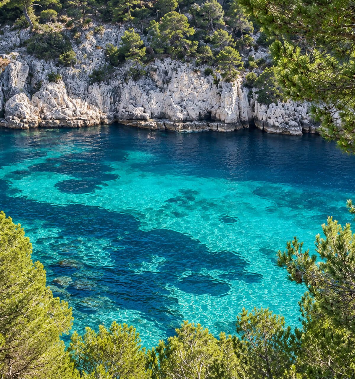 Calanque aux eaux turquoises entourée de pins et de falaises calcaires, vue d’en haut