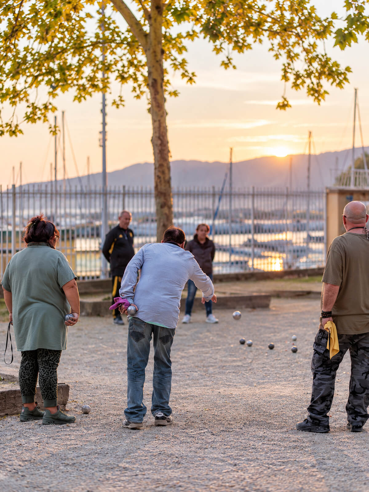 Partie de pĂ©tanque au coucher du soleil prĂšs dâun port, sous un platane